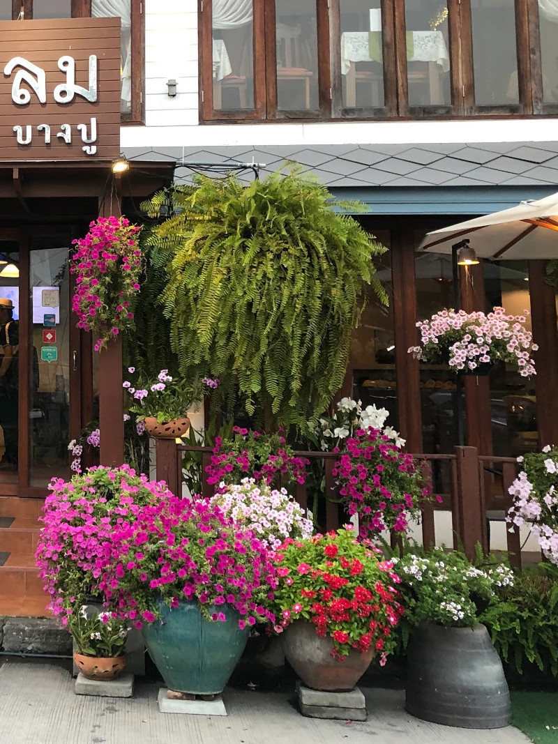 オリジナル商品販売事業・アフロディーテケストスでのビズトリップで訪れたバンコクのレストラン「Baan Chidlom Bangpu」の画像