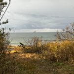 今日の日本海。１２月のこの時期では貴重な晴れ間。海も今日は穏やかです・